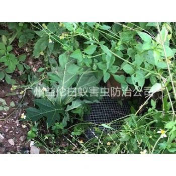 福和上门驱蛇防蛇