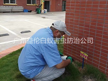 派潭杀灭红火蚁工程