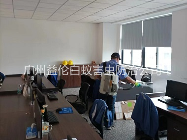 仙村室内消杀蚊虫工程