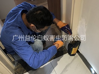 宁西住宅白蚁防治工程