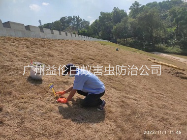 永和堤坝白蚁灭治工程