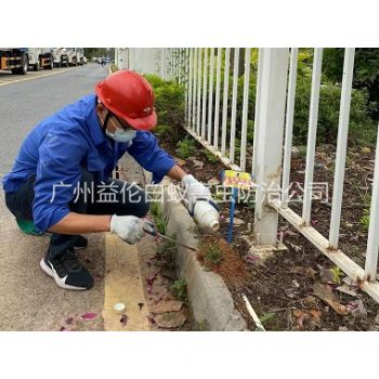 增城红火蚁防治工程