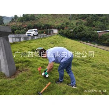 沙埔水利工程红火蚁防治