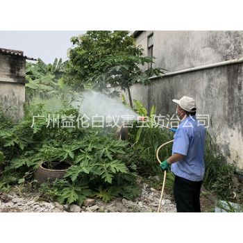 仙村社区消灭蚊子工程