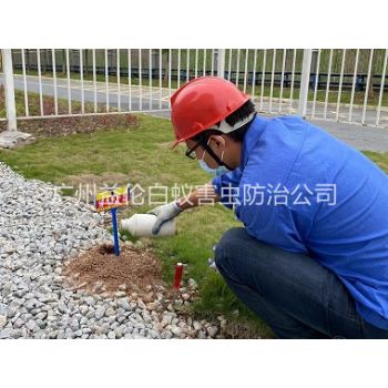 中新红火蚁防治工程