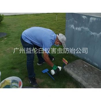 广州灭除红火蚁工程