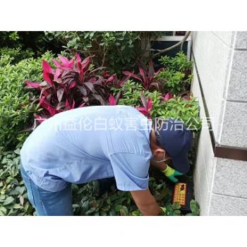 中新住宅环境灭鼠工程