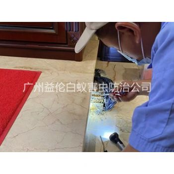 永和安装诱杀箱监测白蚁工程