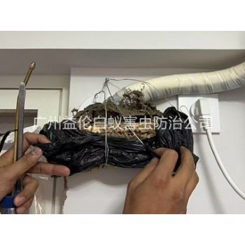 福和房屋白蚁诱杀工程